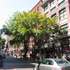 Best Apartments and Condos in San Diego