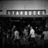Best Coffee Bars in Seattle